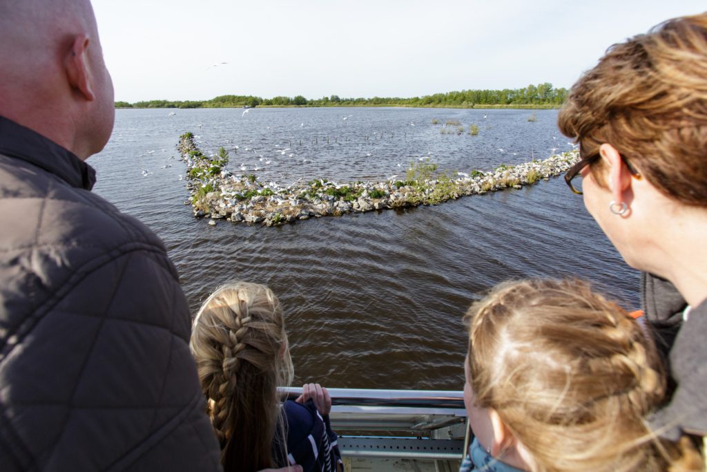 varen alde feanen