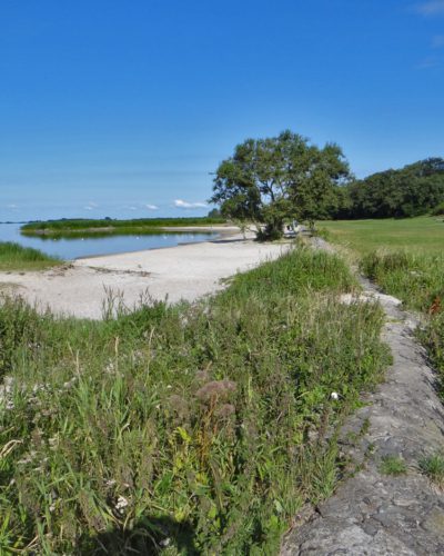 Mirnserklif rysterbosk