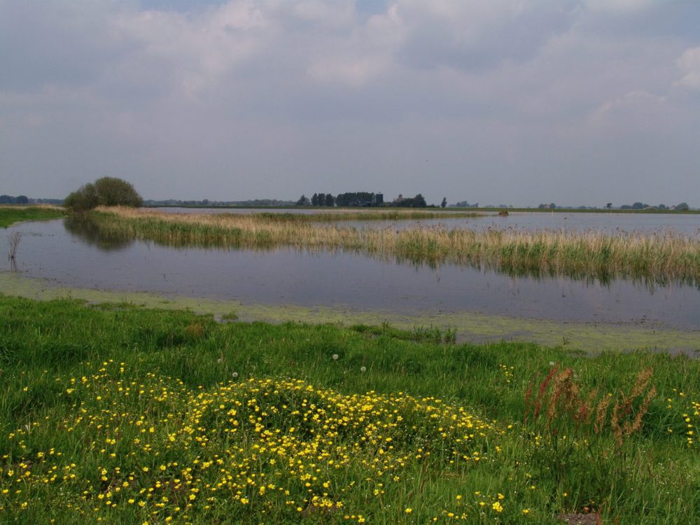 over de wiel butefjild