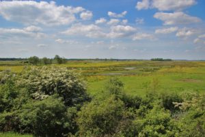 Uitzichtheuvel Ryptsjerksterpolder
