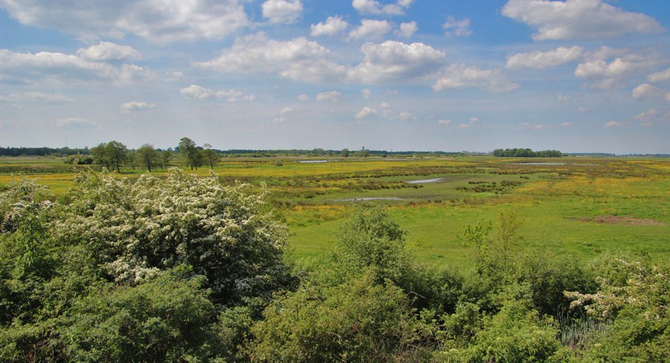 Uitzichtheuvel Ryptsjerksterpolder