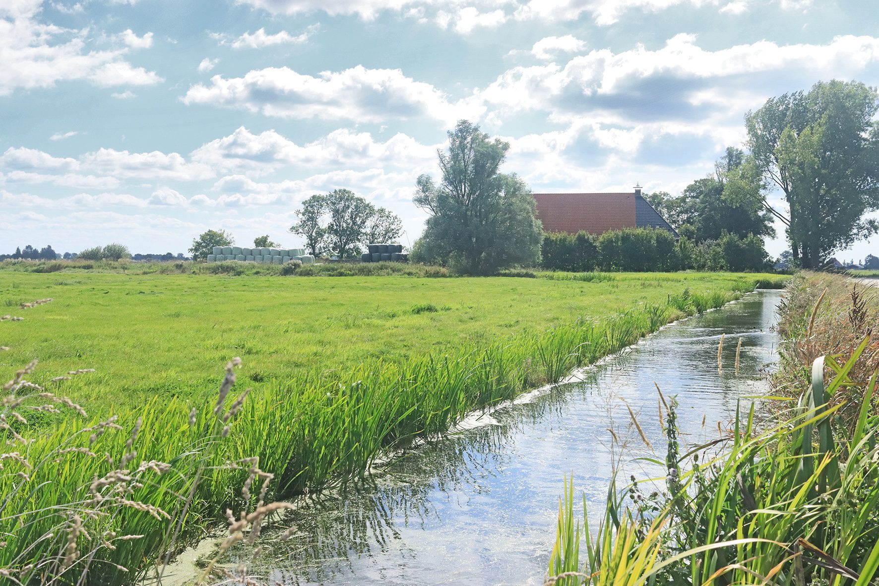kathus soarremoarsterpolder