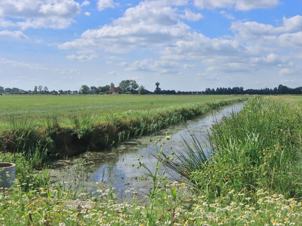 kathus soarremoarsterpolder