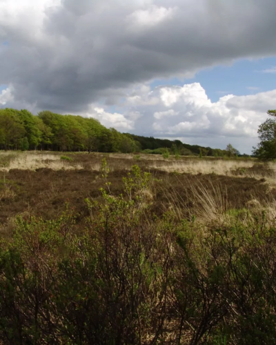 Zuidoosthoek
