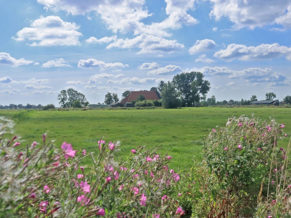 kathus soarremoarsterpolder