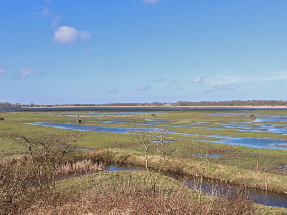 ryptsjerksterpolder winter