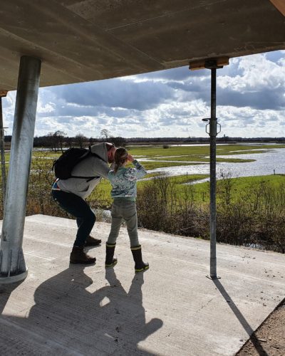 Uitzichtheuvel Ryptsjerksterpolder