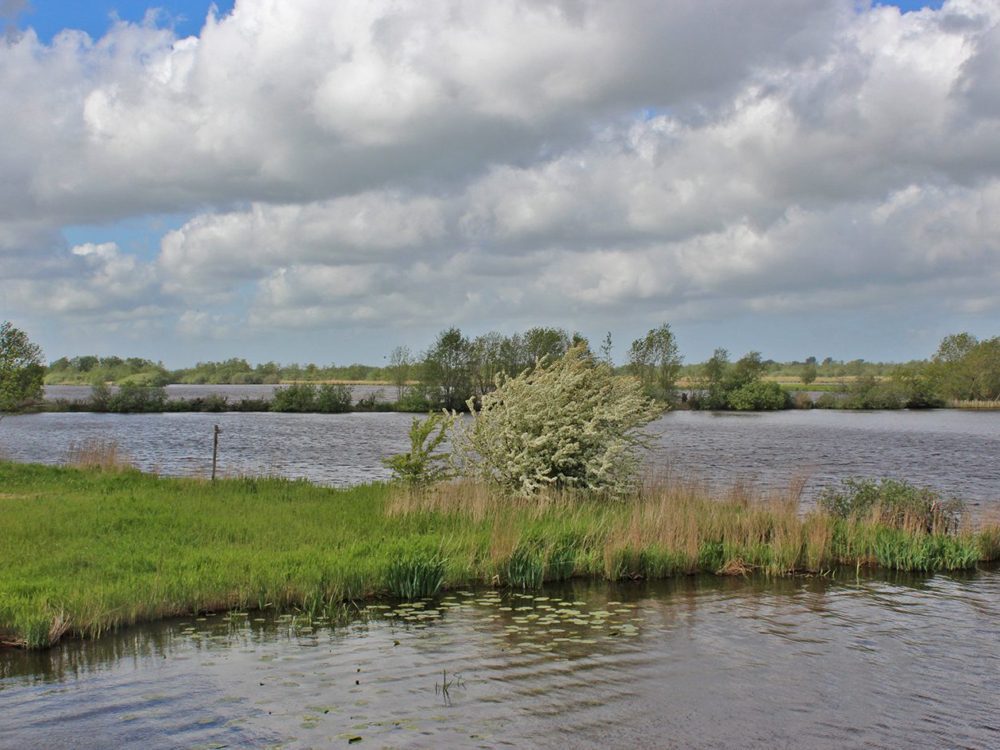 alde feanen
