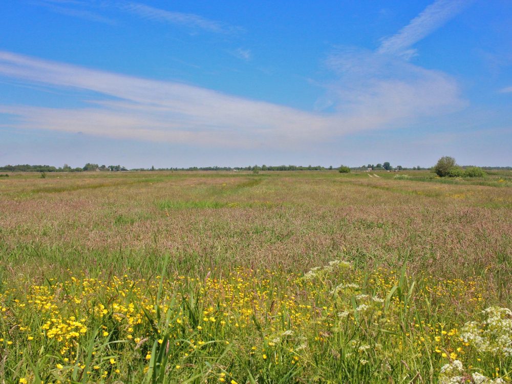 alde feanen it eilan