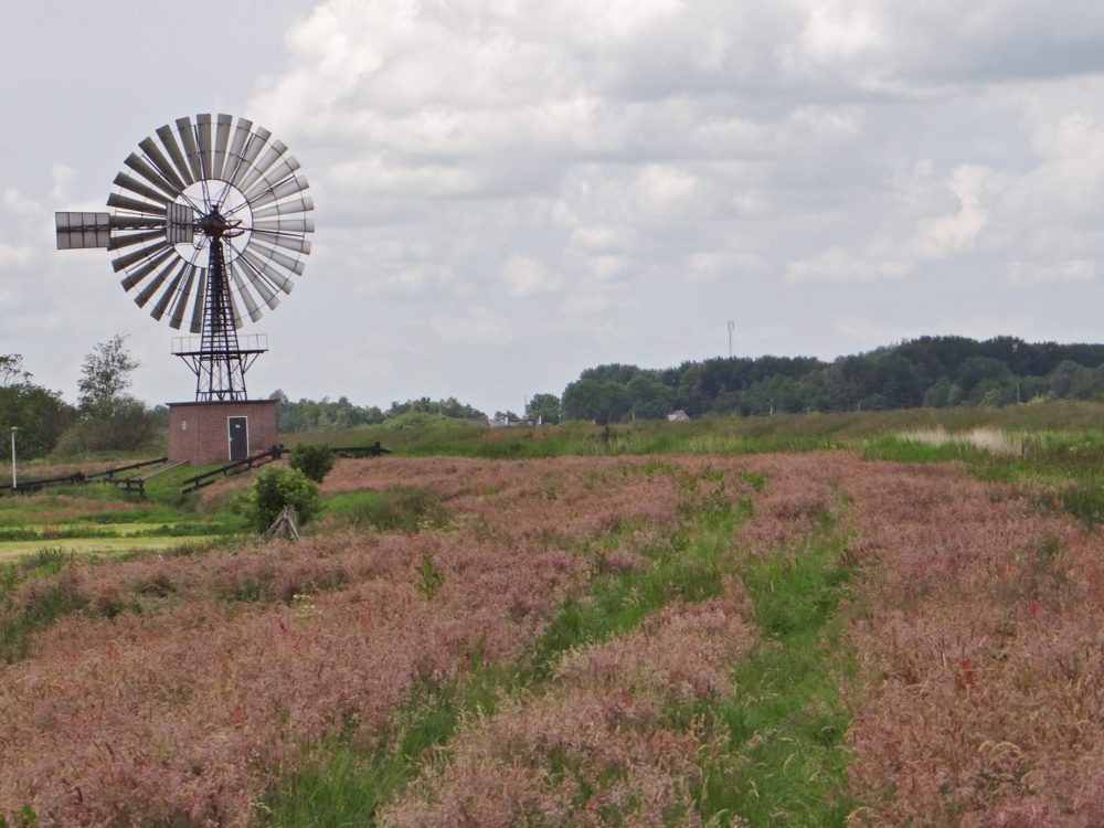 molen petgatten de feanhoop