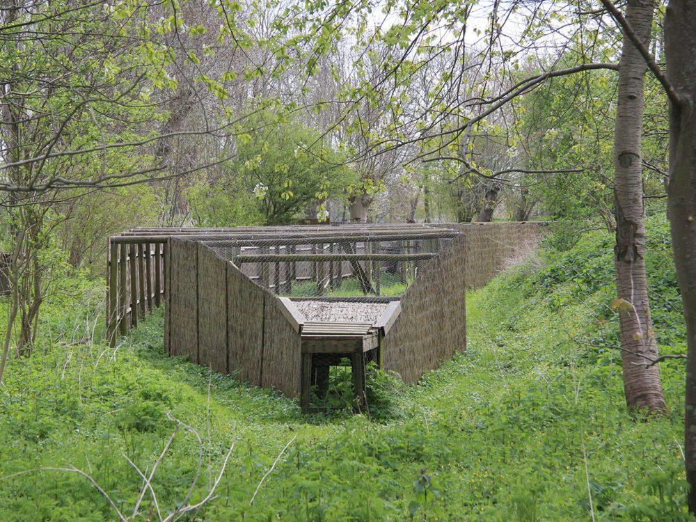 Buismanskoai piaam