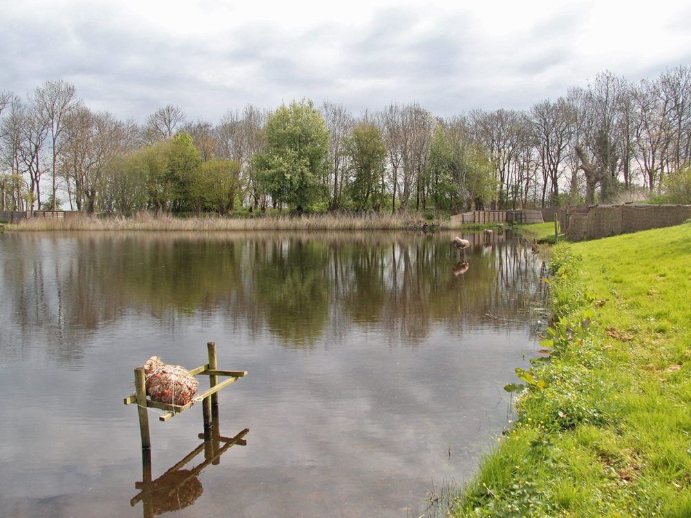 Buismanskoai piaam