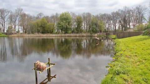 Gebied: Buismanskoai & Dyksfearten