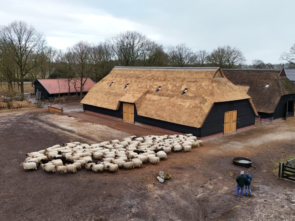 schaapskooi bakkeveen mandefjild