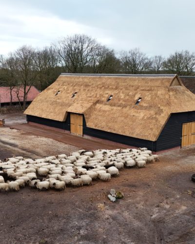 schaapskooi bakkeveen mandefjild