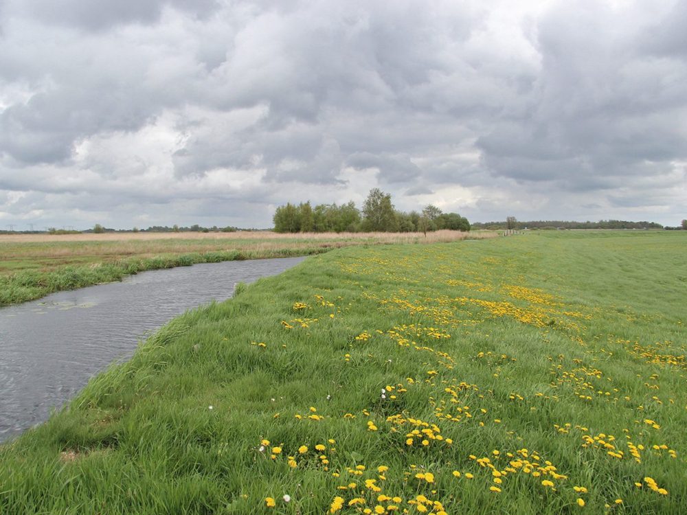 Dunegeaster- en Follegeasterpolder