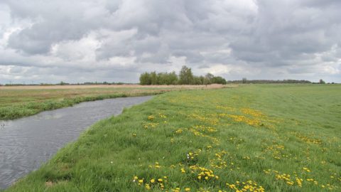 Gebied: Dunegeaster- en Follegeasterpolder