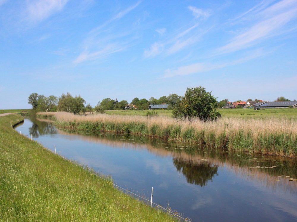dyksfearten gaast