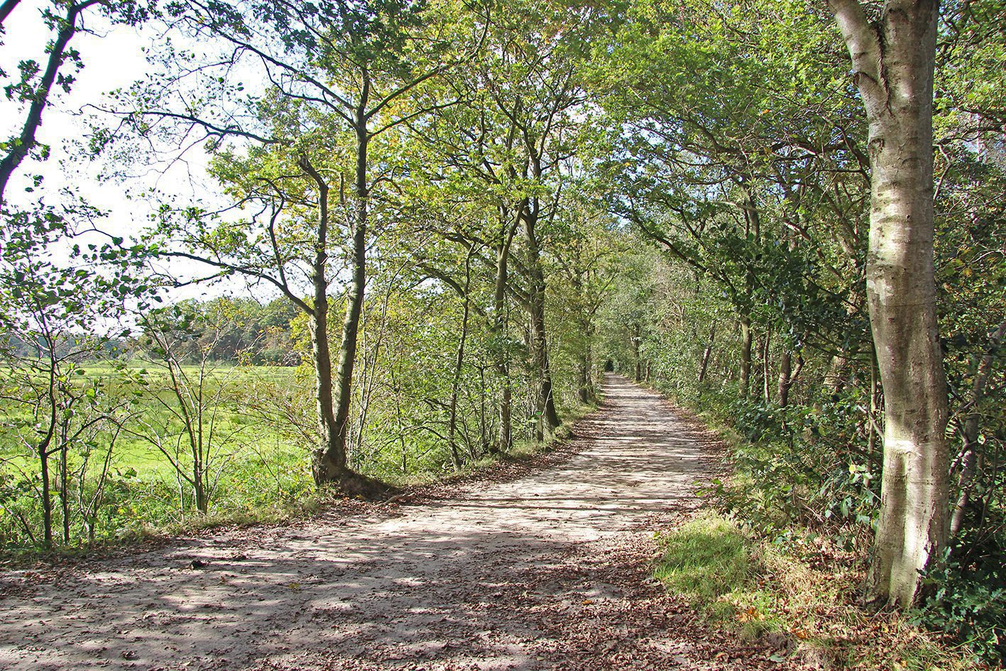 Grikelân en Turkije