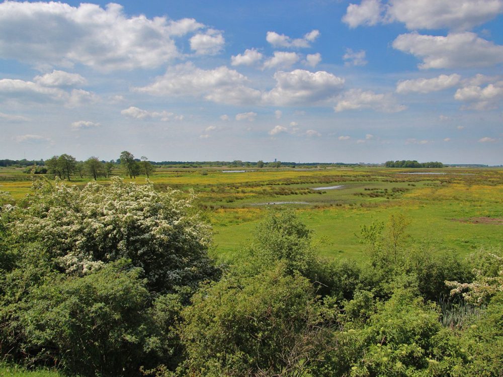 grutte wielen