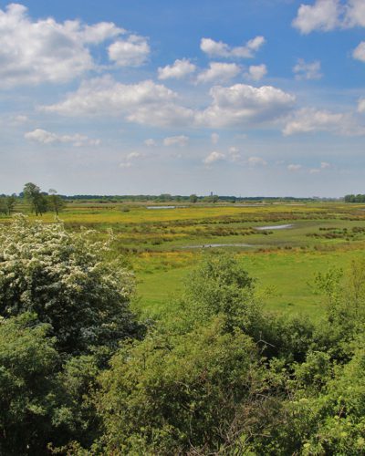 grutte wielen