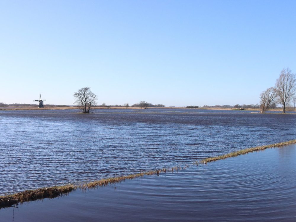 grutte wielen ryptsjerksterpolder