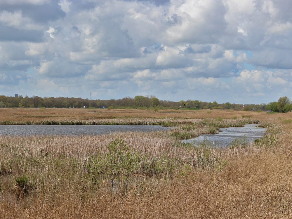 grutte wielen wielsicht