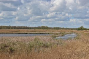 grutte wielen wielsicht