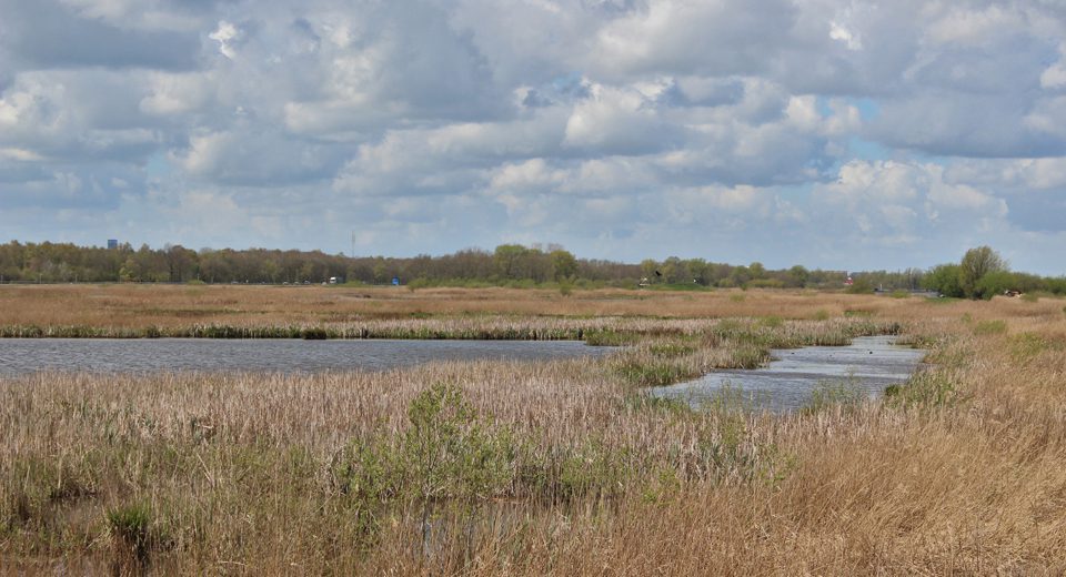 grutte wielen wielsicht