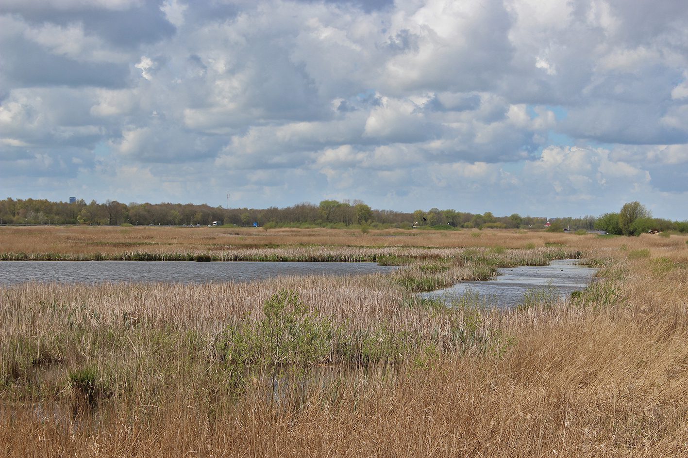 grutte wielen wielsicht