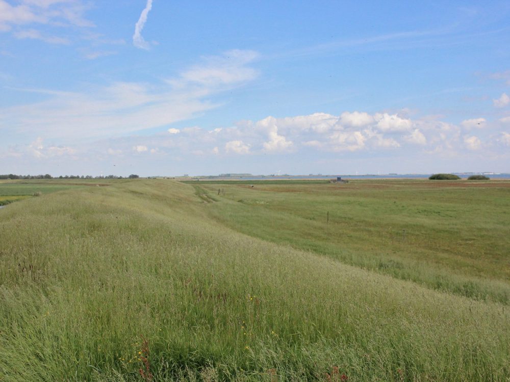 Huitebuersterbûtenpolder