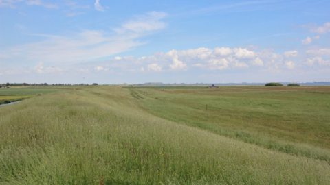 Gebied: Huitebuersterbûtenpolder