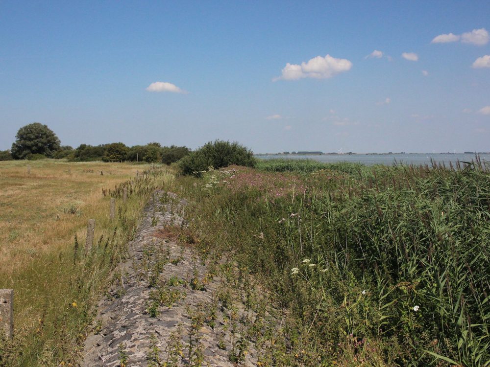 Huitebuersterbûtenpolder