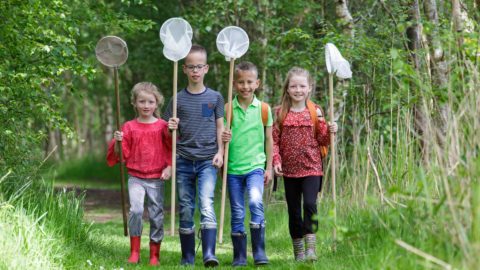 jeugdexcursies kids it fryske gea