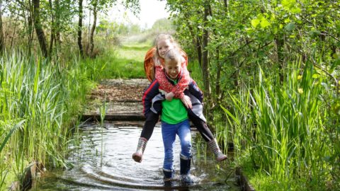 jeugdexcursies kids it fryske gea