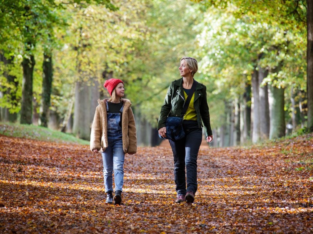 top 5 herfstgebieden rysterbosk