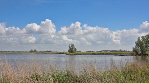 Gebied: Blauhústerpuollen