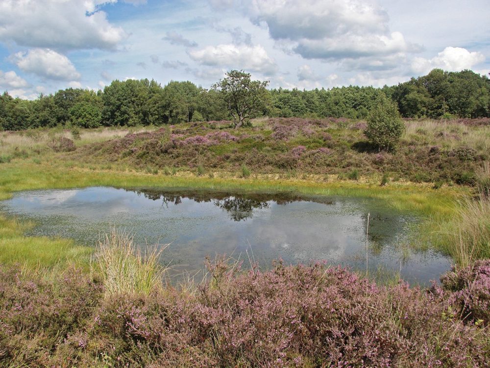 ketlikerheide ketliker skar
