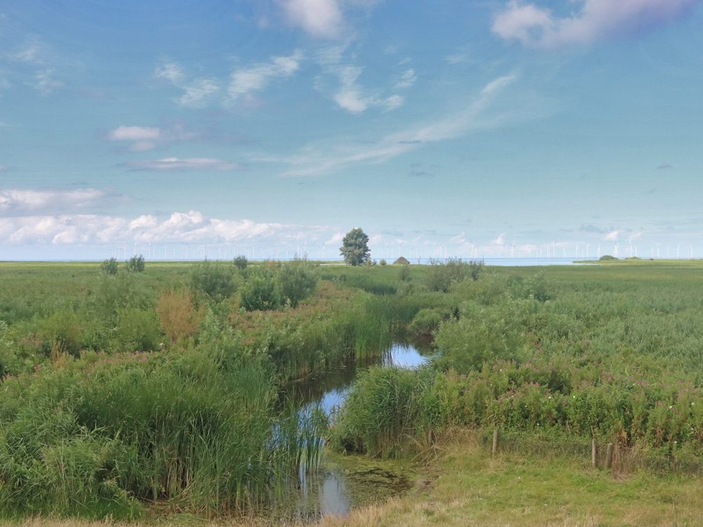 koaiwaard makkumerwaarden