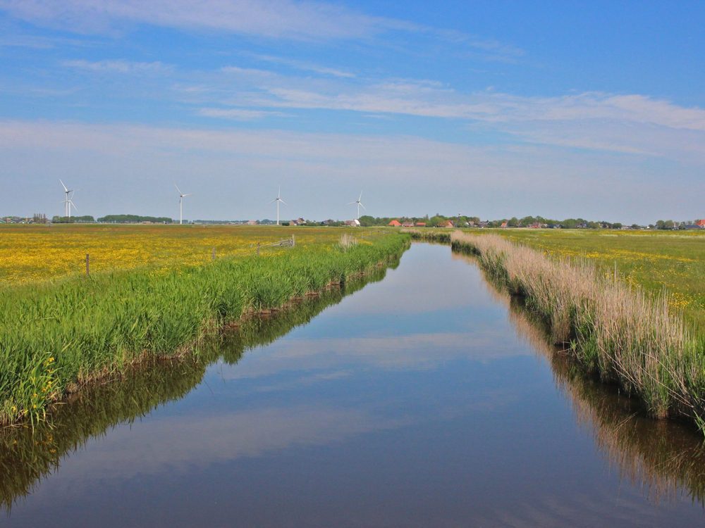 Koarnwerterpolder