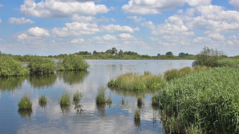 Gebied: Petgatten De Feanhoop