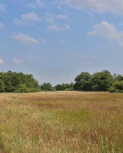Lendevallei