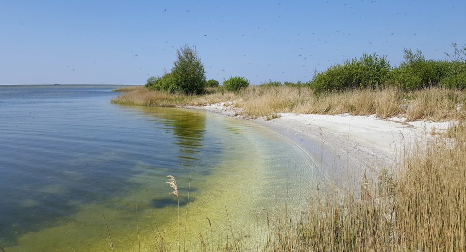makkumernoardwaard makkumerwaarden
