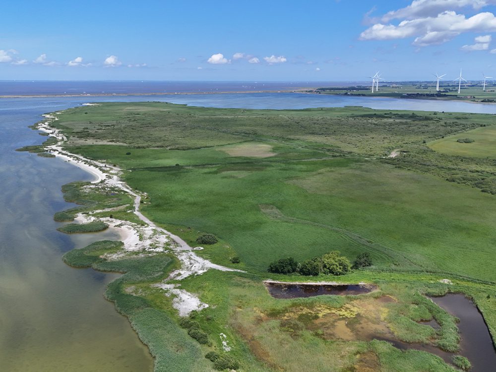 makkumernoardwaard makkumerwaarden