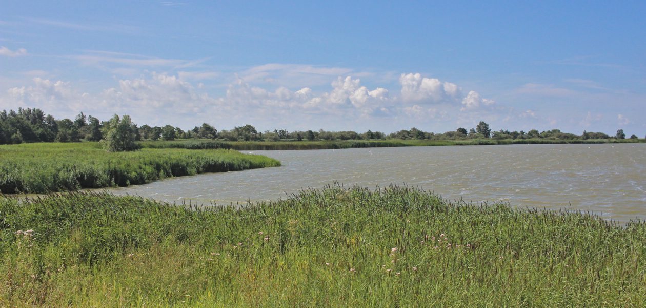 makkumersudwaard makkumerwaarden