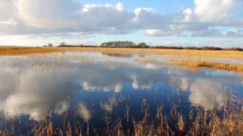 Gebied: Mokkebank