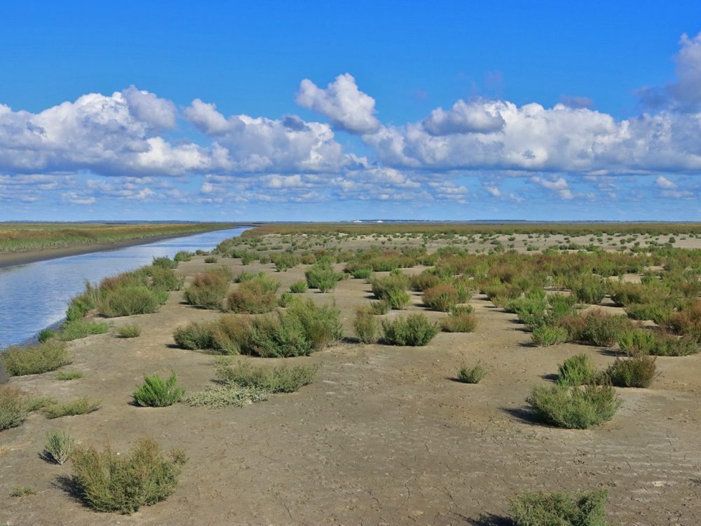noard fryslan butendyks