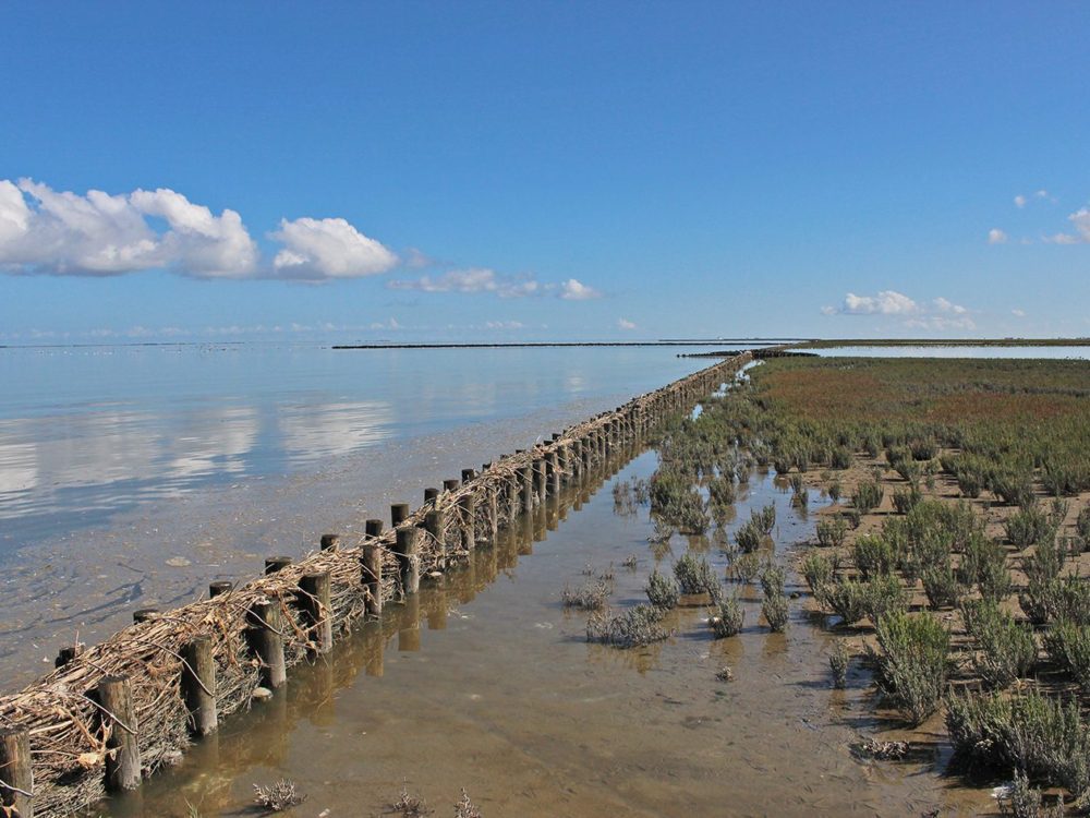 noard fryslan butendyks