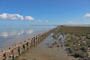 noard fryslan butendyks