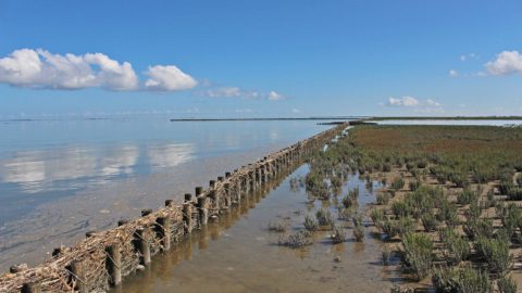 Gebied: Noard-Fryslân Bûtendyks